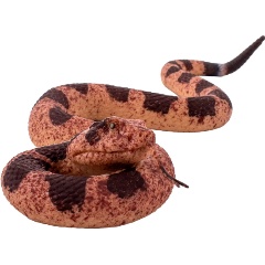 Изображение товара Игрушка-антистресс KiddiePlay 32658 БИРМАНСКИЙ ПИТОН