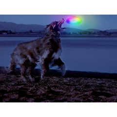 Изображение товара Игрушка фрисби для собак ZooWell Play светящийся (HT035)