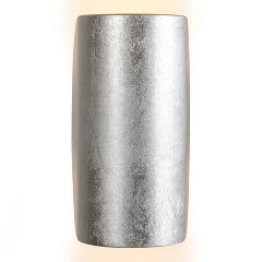 Изображение товара Настенный светильник iLedex Cute ZD8077-6W Silver