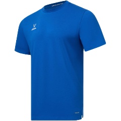 Изображение товара Футболка тренировочная Jogel DIVISION PerFormDRY Training CVC, синий, р.L