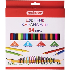 Изображение товара Карандаши цветные ПИФАГОР "Веселая такса", 24 цвета, классические, заточенные, 181808