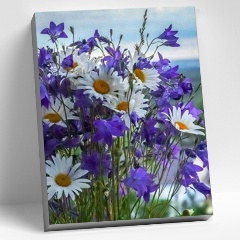 Изображение товара Картина по номерам MOLLY HR0258 Полевые цветы, 40х50 см