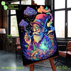 Изображение товара Картина по номерам со светящейся краской MOLLY BFH0009 Черный холст. Мудрый маг, 40х50 см