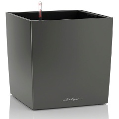 Изображение товара Кашпо с автополивом Lechuza CUBE 30 Антрацит 12л
