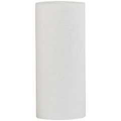 Изображение товара Сменный картридж ГЕЙЗЕР PP 5-10BB