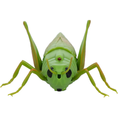 Изображение товара Интерактивная игрушка KiddiePlay 7805 Кузнечик