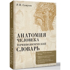 Изображение товара Книга Анатомия человека.Терминологический словарь (Самусев Р.П.)