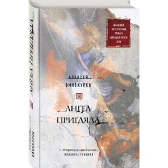 Изображение товара Книга Ангел пригляда (Винокуров А.Ю.)