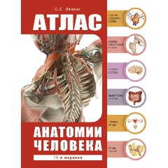 Изображение товара Книга Атлас анатомии человека (Лёвкин С.С.)