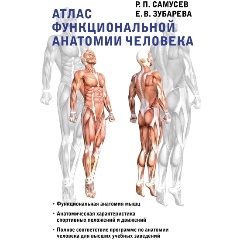 Изображение товара Книга Атлас функциональной анатомии человека (Самусев Р.П., Зубарева Е.В.)