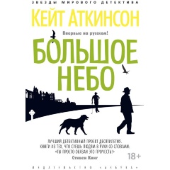 Изображение товара Книга Большое небо (Аткинсон К.)