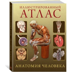 Изображение товара Книга Иллюстрированный атлас. Анатомия человека (Роубак Д.)