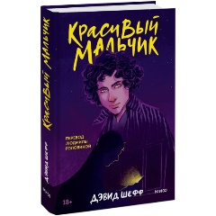 Изображение товара Книга Красивый мальчик (Дэвид Шефф)