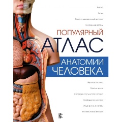 Изображение товара Книга Популярный атлас анатомии человека (Палычева Л., Лазарев Н.)