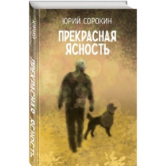 Изображение товара Книга Прекрасная ясность (Сорокин Ю.А.)