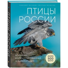 Изображение товара Книга Птицы России. Большая иллюстрированная энциклопедия (Матанцев А.Н.)