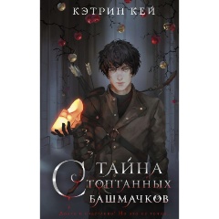 Изображение товара Книга Тайна стоптанных башмачков Кей К. — современная сказка для подростков