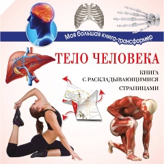Изображение товара Книга Тело человека (Усова И.В.)