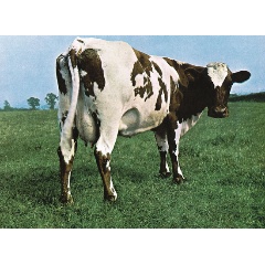 Изображение товара Компакт-диск Pink Floyd - Atom Heart Mother (Digisleeve)