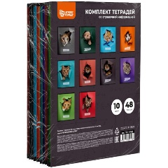 Изображение товара Комплект тетрадей 48 л. А5 кл./лин. скреп. Schoolformat ЛЮБОПЫТНЫЙ КОТИК мел. карт., ВД-лак