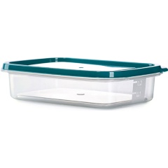 Изображение товара Контейнер TWOFOLD пластиковый прямоугольный 0,24л TG1001