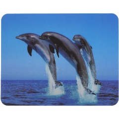 Изображение товара Коврик для мыши Buro BU-M40083 рисунок/дельфины