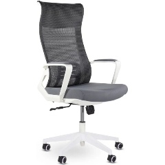 Изображение товара Кресло офисное UTFC Рекорд М-878 белый пластик (серый)