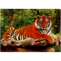 Изображение товара Кубики Играем вместе 4680107999849 Экзотические животные 12 шт