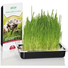 Изображение товара Лакомство для кошек TitBit Трава овес