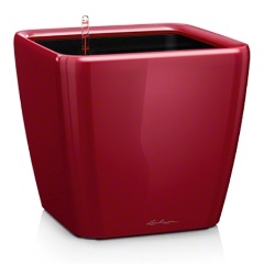 Изображение товара Кашпо с автополивом Lechuza QUADRO LS 50 53л красное для комнатных растений