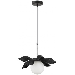 Изображение товара Подвесной светильник Lumion Tanzania 5617/1