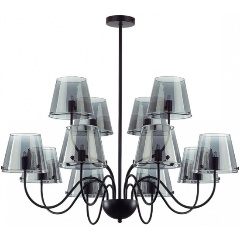 Изображение товара Люстра на штанге Lumion Smoky 6570/12C