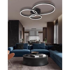 Изображение товара Потолочная люстра Alfa Light F2024-34 LED Чёрный