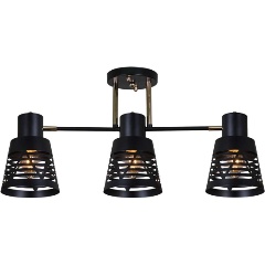 Изображение товара Люстра Reluce 06074-3.3-03 BK+FG