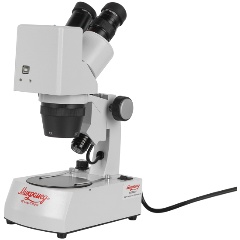Изображение товара Микроскоп стереоскопический Микромед МС-1 вар.2C Digital
