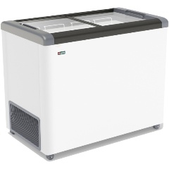 Изображение товара Морозильный ларь Frostor Gellar FG 350 С серый