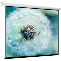 Изображение товара Экран моторизированный Viewscreen Breston (16:10) 274*274 (266*171) MW