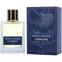 Изображение товара Мужская туалетная вода Brocard Wind Sound. Hurricane 100 мл