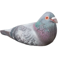 Изображение товара Мягкая игрушка KiddieArt Tallula 28МТ01s Голубь антистресс 30 см