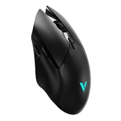 Изображение товара Мышь RAPOO V30L беспроводная черный (V30L)