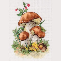 Изображение товара Набор для вышивания KLART 8-516 Белые грибы