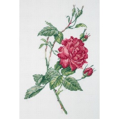 Изображение товара Набор для вышивания KLART 8-531 Ботаника. Роза