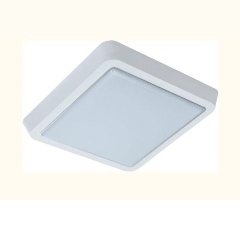 Изображение товара Накладной светильник LEEK LE061200-161