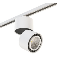 Изображение товара Накладной светильник Lightstar Forte Muro A1T213816