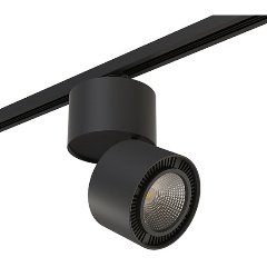 Изображение товара Накладной светильник Lightstar Rullo A1T214837