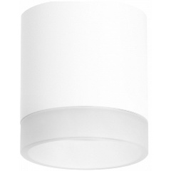 Изображение товара Накладной светильник Lightstar Rullo R348680