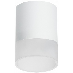 Изображение товара Накладной светильник Lightstar Rullo R348681 для гостиной модерн светодиодный