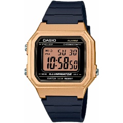 Изображение товара CASIO W-217HM-9A