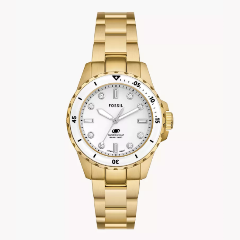 Изображение товара Fossil ES5350