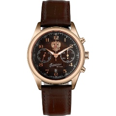 Изображение товара СЛАВА 1883142/300-4617